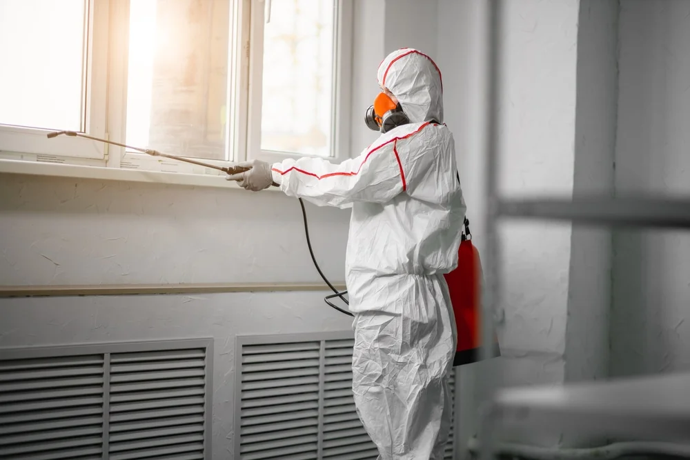 Professional mold remediation services in Matawan, NJ